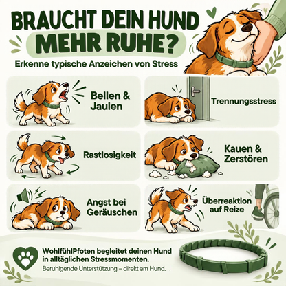 WohlfühlPfoten - beruhigendes Pheromon Halsband