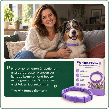 WohlfühlPfoten - beruhigendes Pheromon Halsband