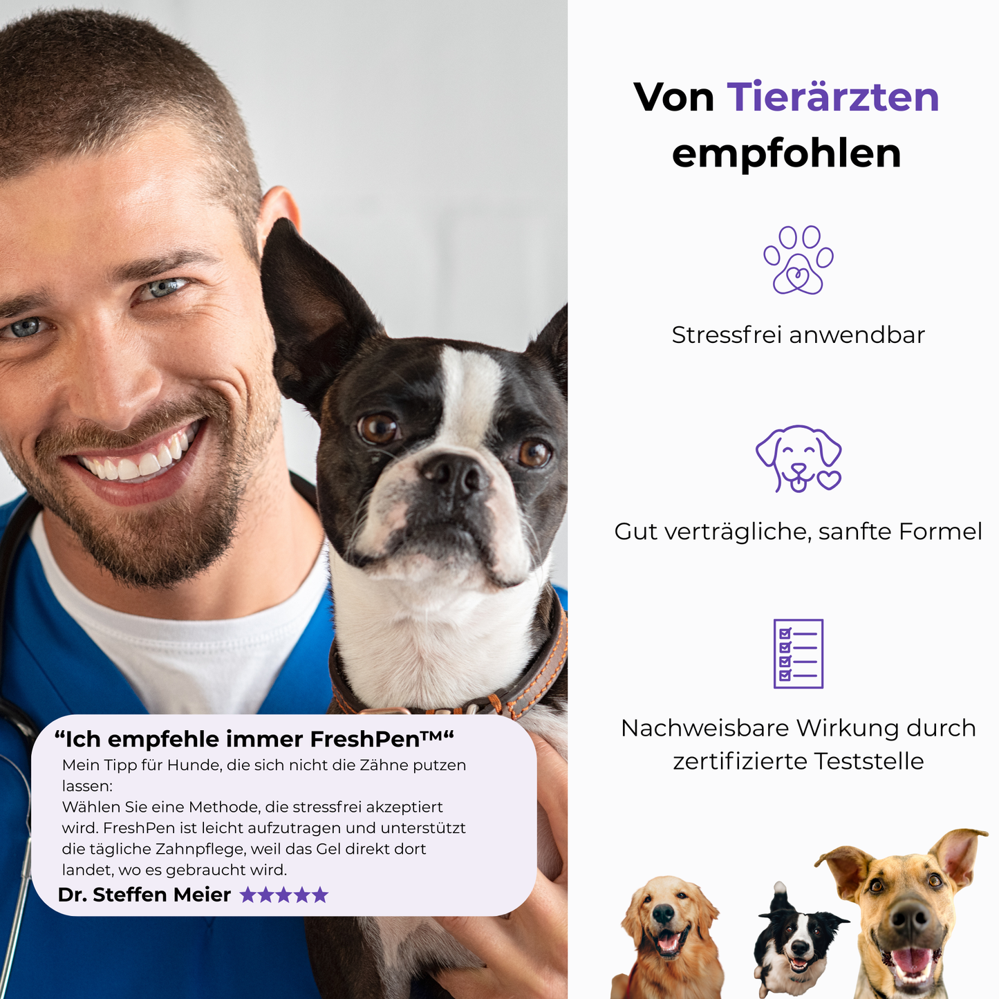 FreshPen - für gesunde Zähne