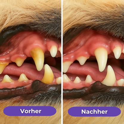 FreshPen - für gesunde Zähne