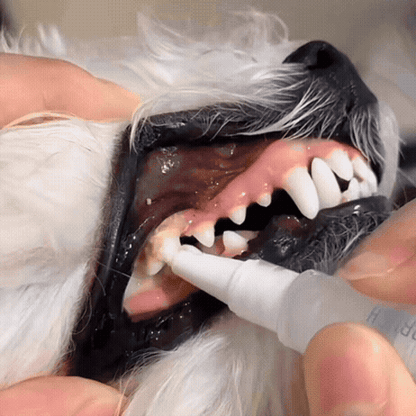 FreshPen - für gesunde Zähne